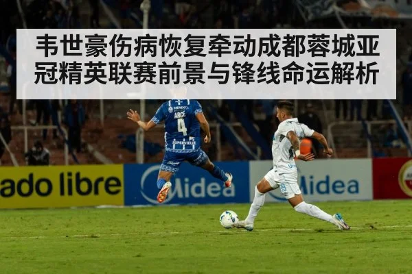 韦世豪伤病恢复牵动成都蓉城亚冠精英联赛前景与锋线命运解析